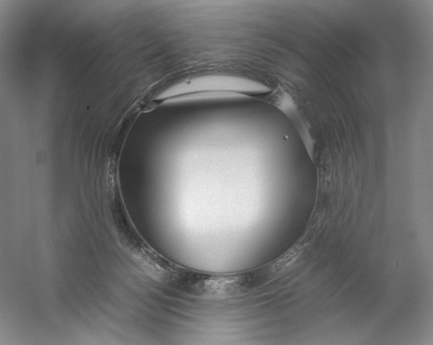 X0000059250172200511111650