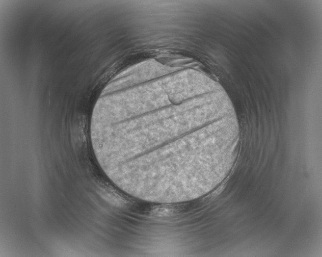 X0000059250174200511111650