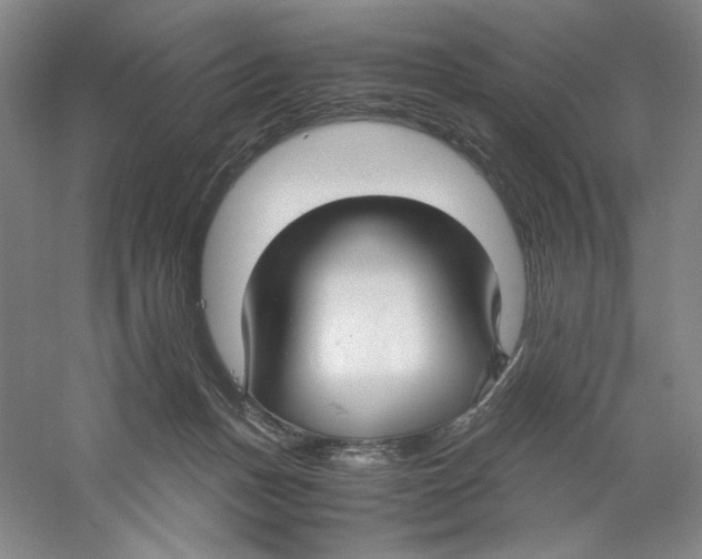 X0000059250175200511111650