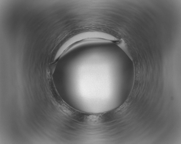 X0000059250176200511111650