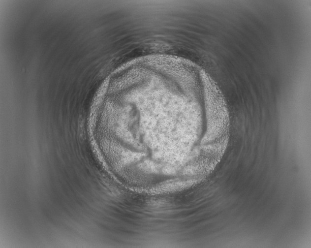 X0000059250177200511111650