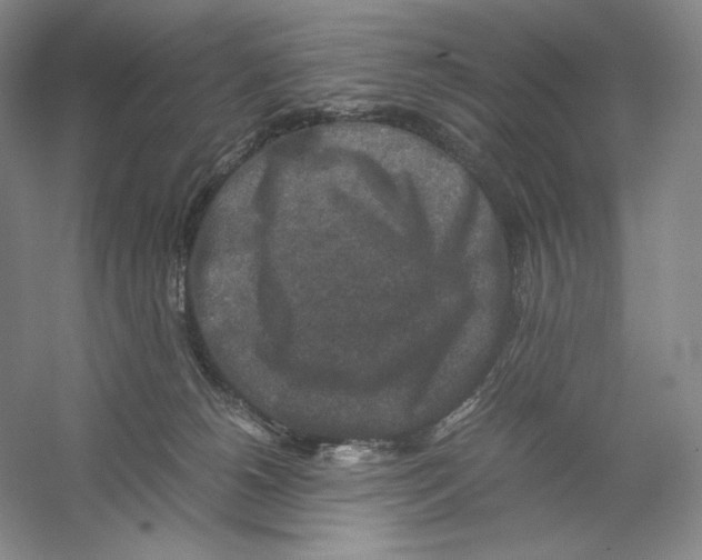 X0000059250180200511111651