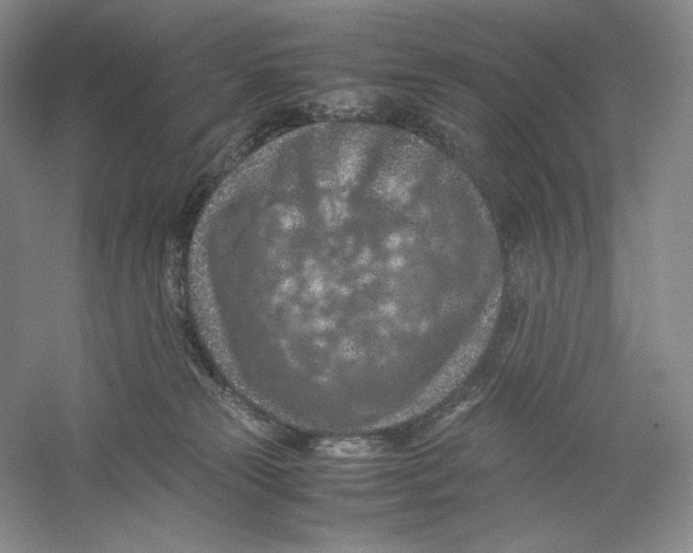 X0000059250181200511111651