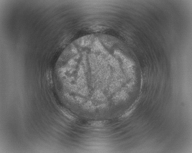 X0000059250182200511111651