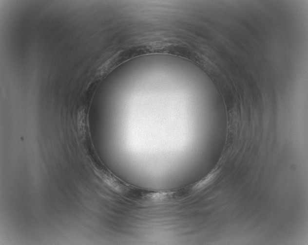 X0000059250184200511111651