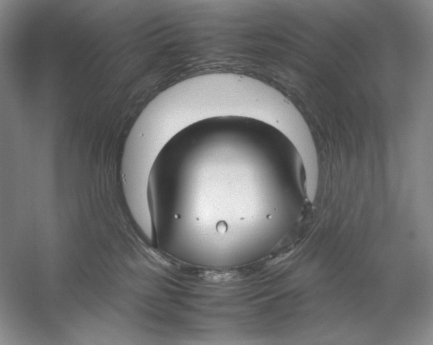 X0000059250185200511111651