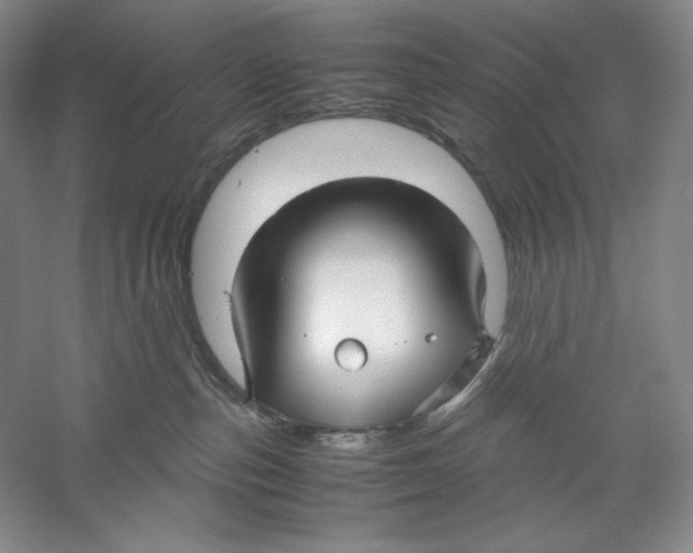 X0000059250187200511111651