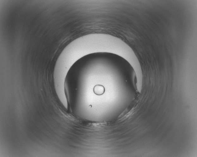 X0000059250188200511111651