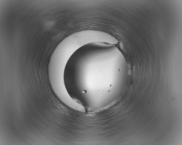 X0000059250189200511111651