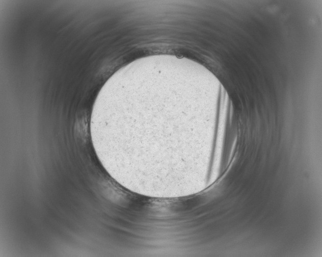 X0000059250190200511111651