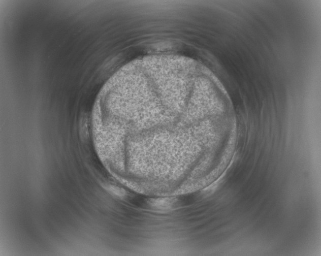 X0000059250191200511111651