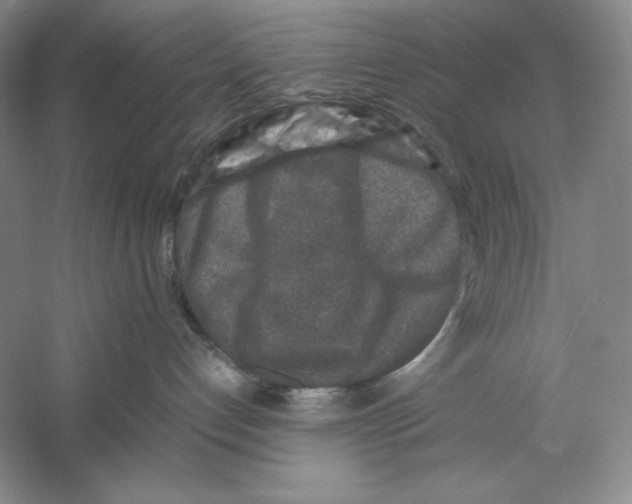 X0000059250192200511111651