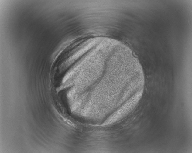 X0000059250194200511111650