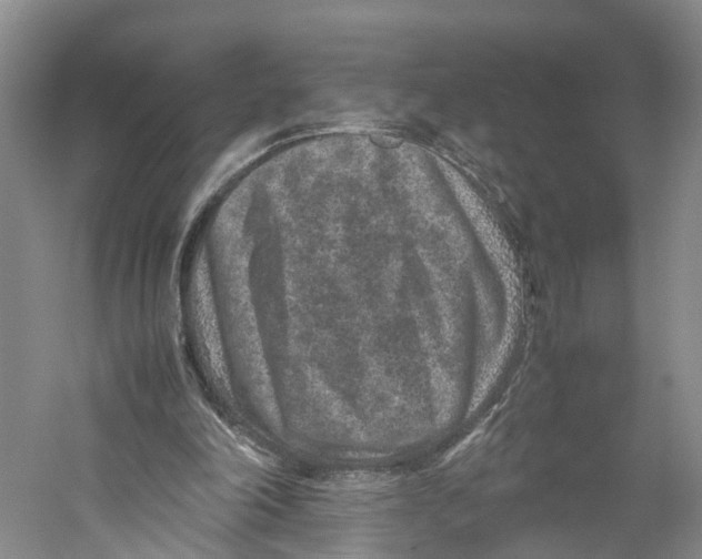 X0000059250198200511111650