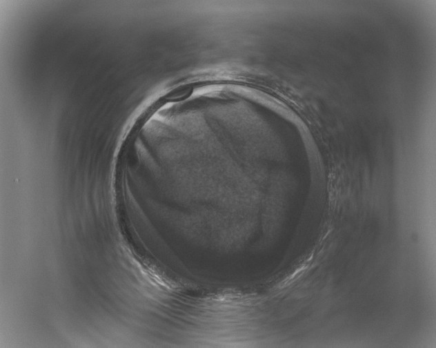 X0000059250200200511111650