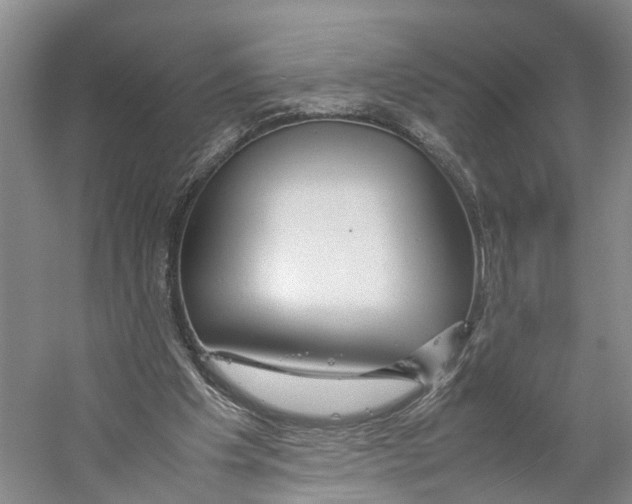 X0000059250201200511111650