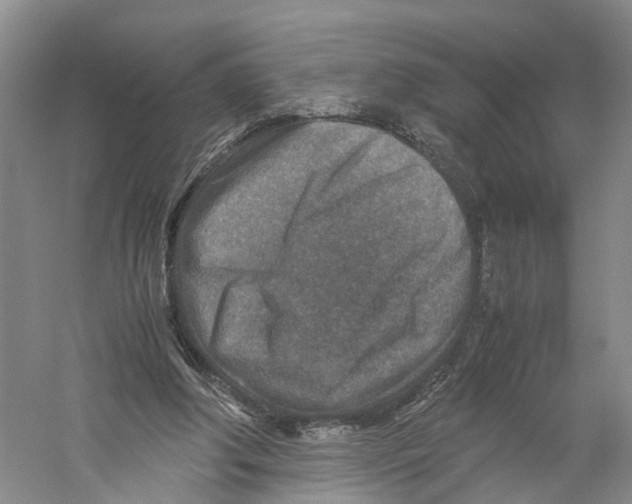 X0000059250202200511111650