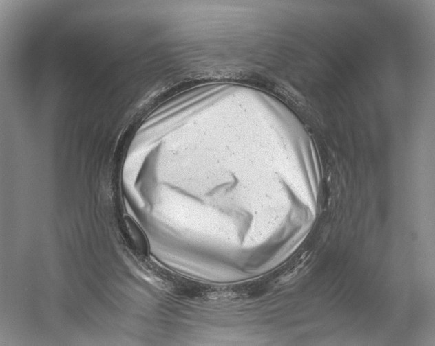 X0000059250203200511111650