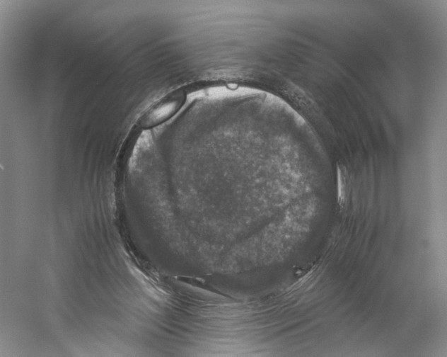 X0000059250204200511111650