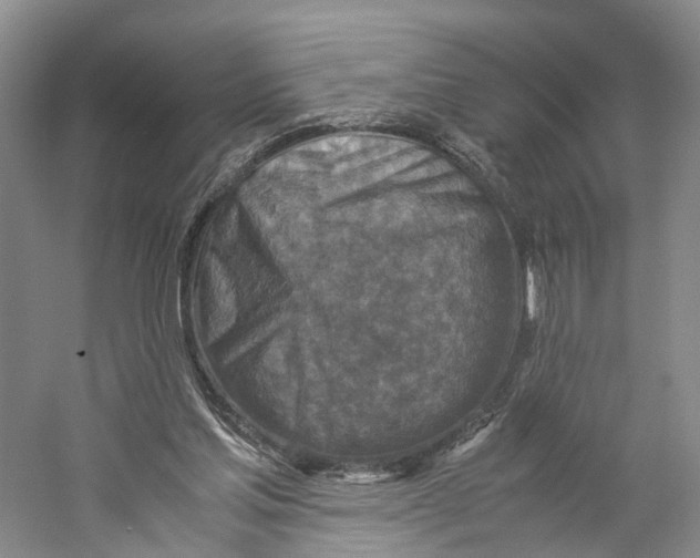 X0000059250205200511111650