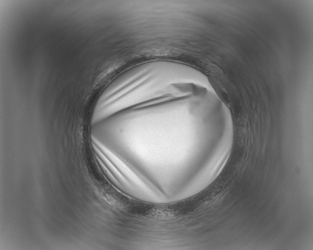 X0000059250207200511111650