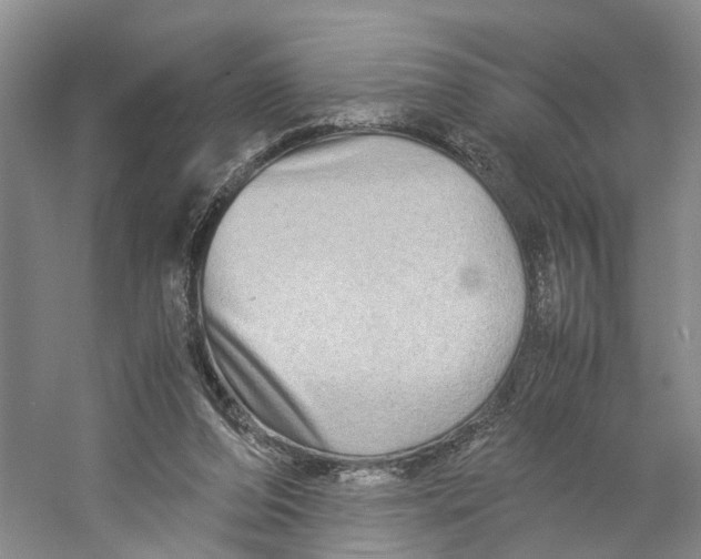 X0000059250208200511111650