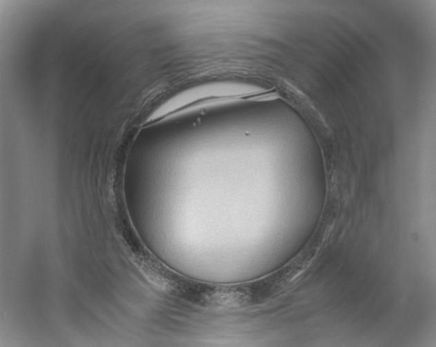 X0000059250209200511111650