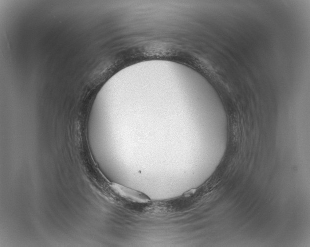 X0000059250211200511111650