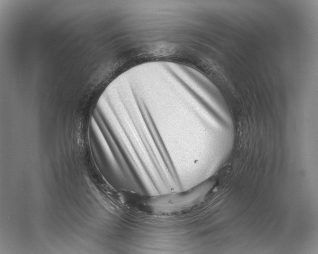 X0000059250212200511111650