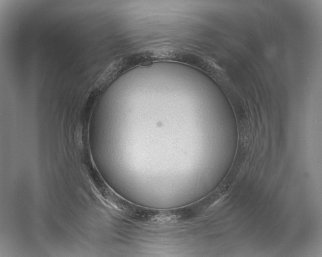 X0000059250213200511111650