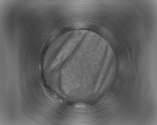 X0000059250214200511111650