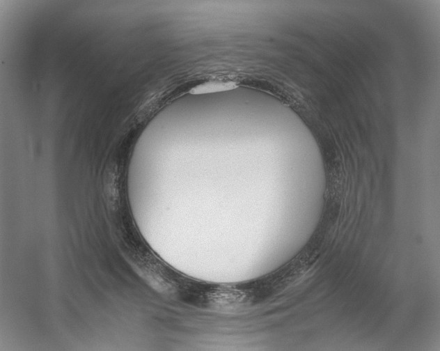 X0000059250215200511111650