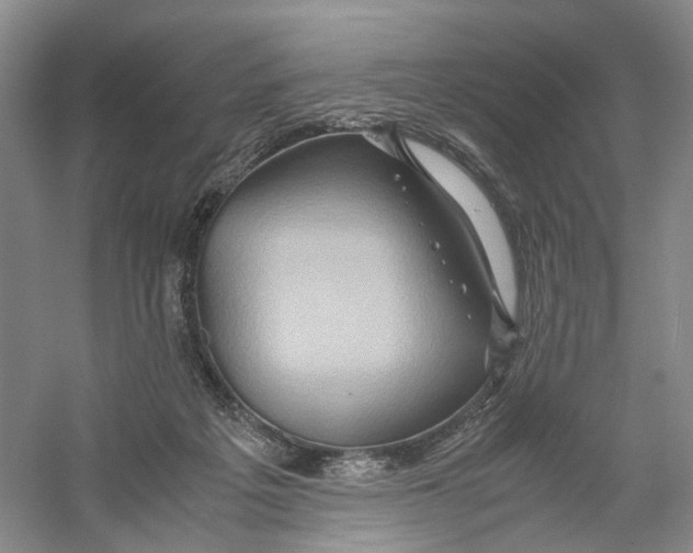 X0000059250217200511111649