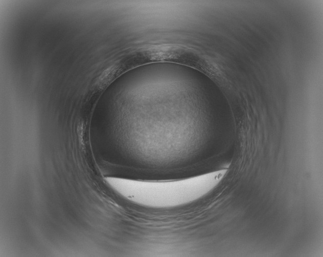 X0000059250219200511111649