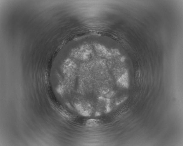 X0000059250222200511111649