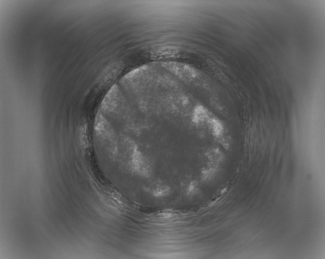 X0000059250224200511111649