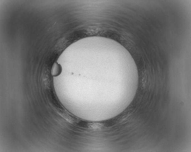 X0000059250226200511111649