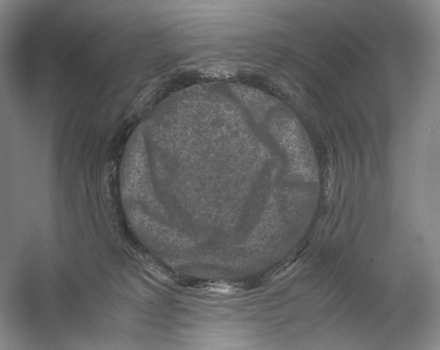 X0000059250229200511111649