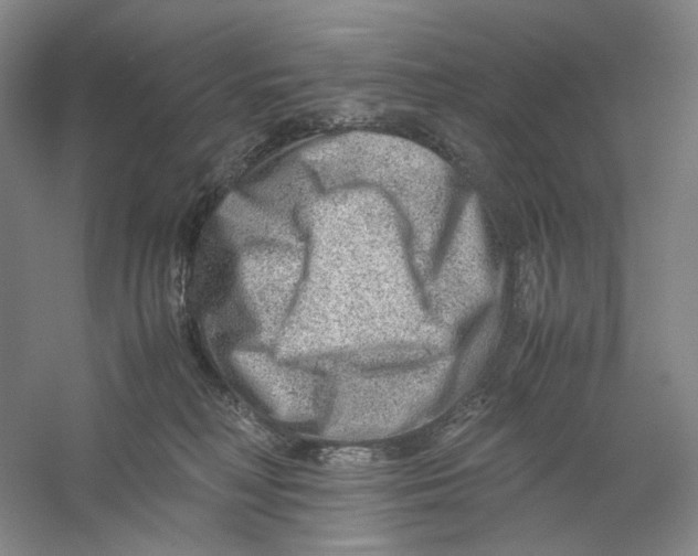 X0000059250230200511111649