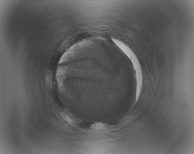 X0000059250231200511111649