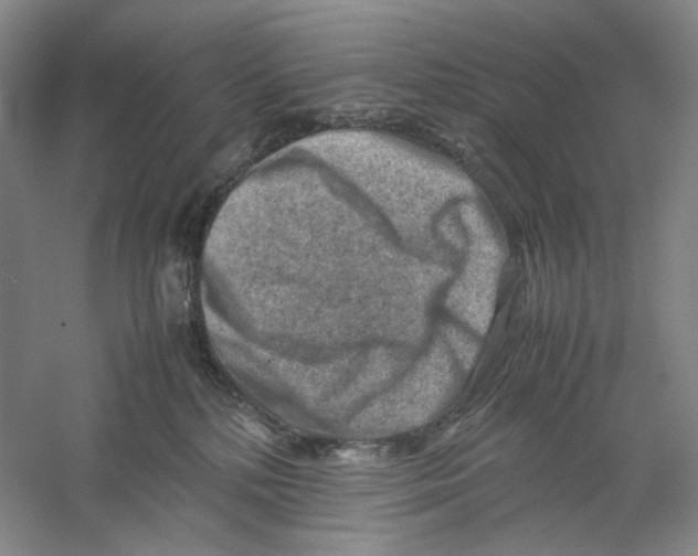 X0000059250232200511111649