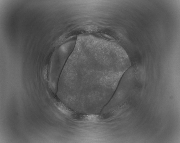 X0000059250233200511111649