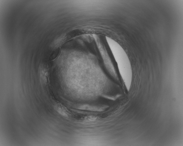 X0000059250235200511111649