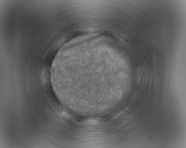 X0000059250236200511111649