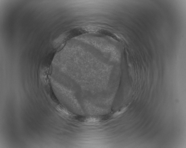 X0000059250237200511111649