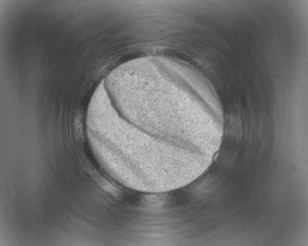 X0000059250238200511111649