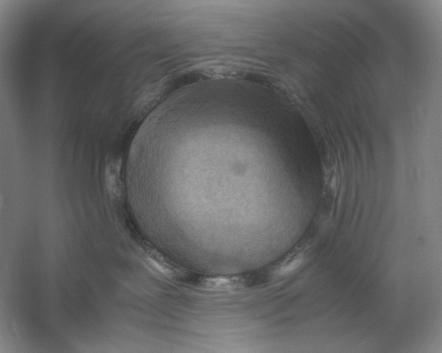 X0000059250239200511111649