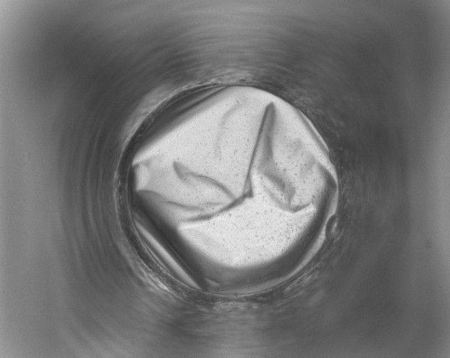 X0000059250242200511111648