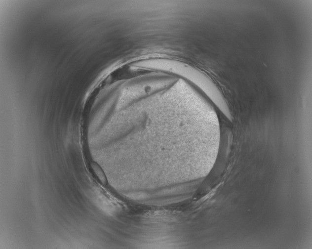 X0000059250244200511111648