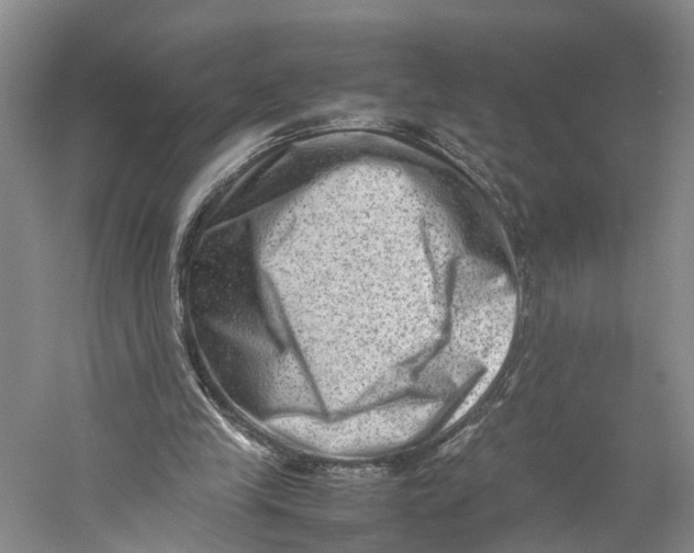 X0000059250245200511111648